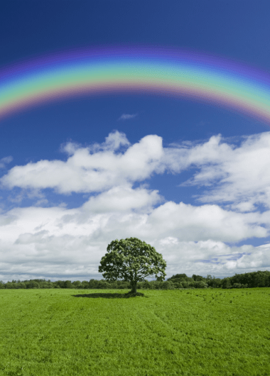 ロマンイメージ