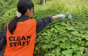 11 住み続けられるまちづくりを
